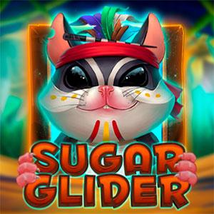 Sugar Glider
